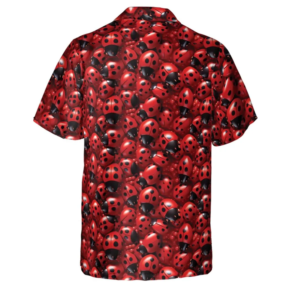 Ladybug -  - 3