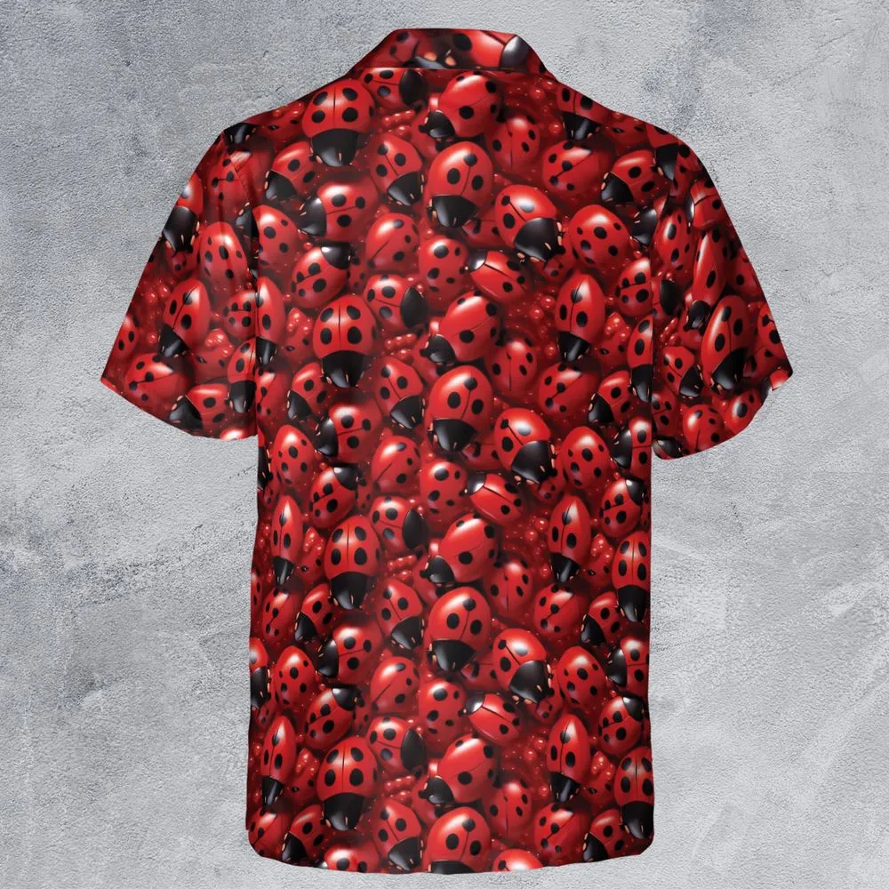 Ladybug -  - 3