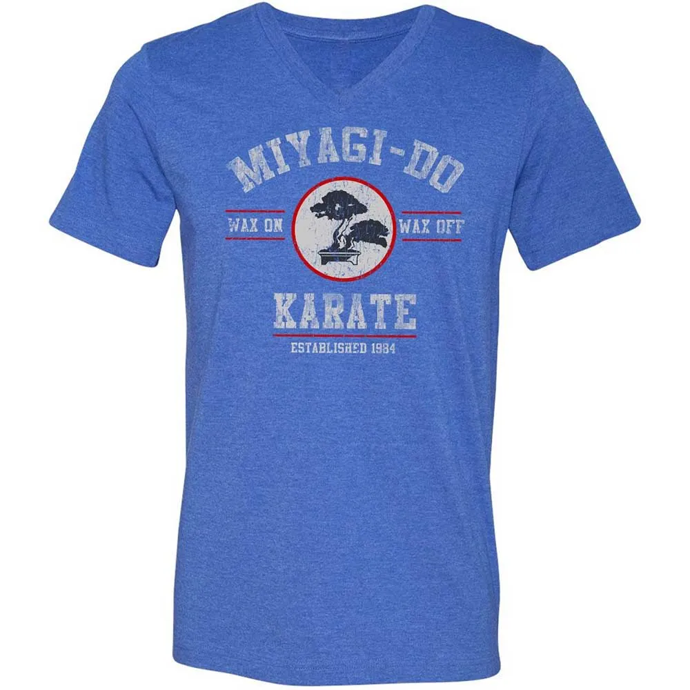 Unisex V-Neck T-Shirt - YSD1PHR9 - Heather True Royal - 5