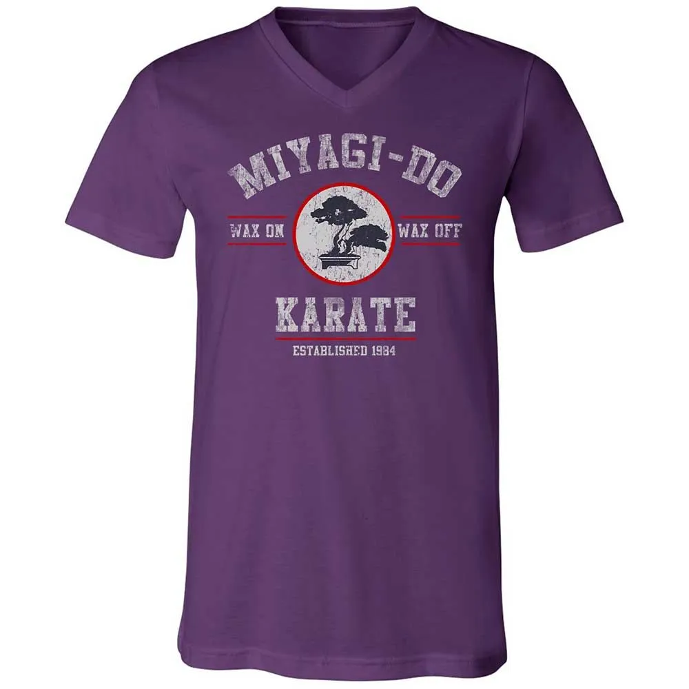 Unisex V-Neck T-Shirt - YSD1PHR9 - Team Purple - 10