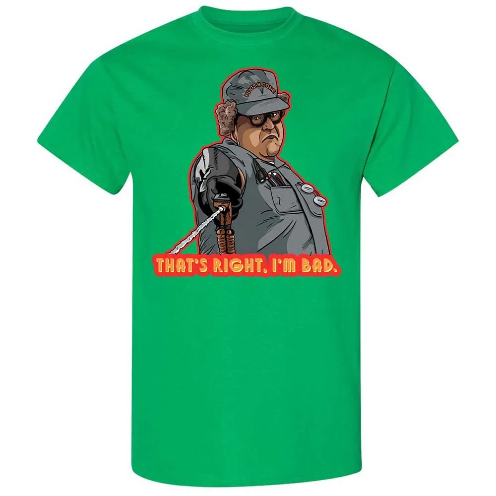 Classic Unisex T-Shirt - Q4UFGZ64 - Irish Green - 13