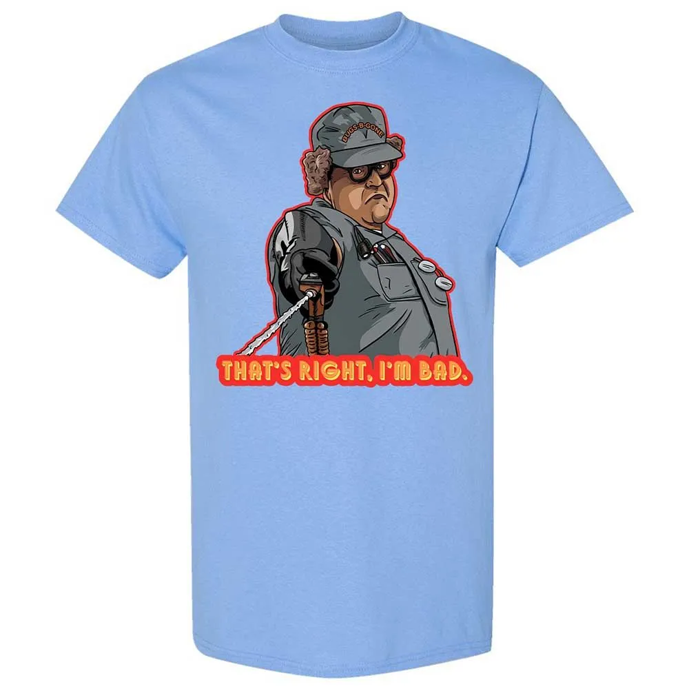 Classic Unisex T-Shirt - Q4UFGZ64 - Carolina Blue - 19