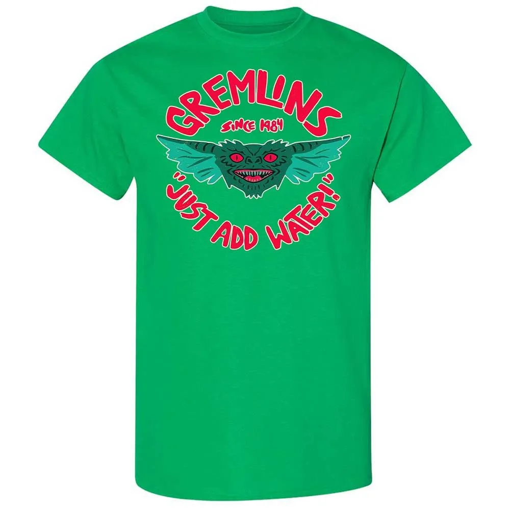 Classic Unisex T-Shirt - KD5UDN4E - Irish Green - 13