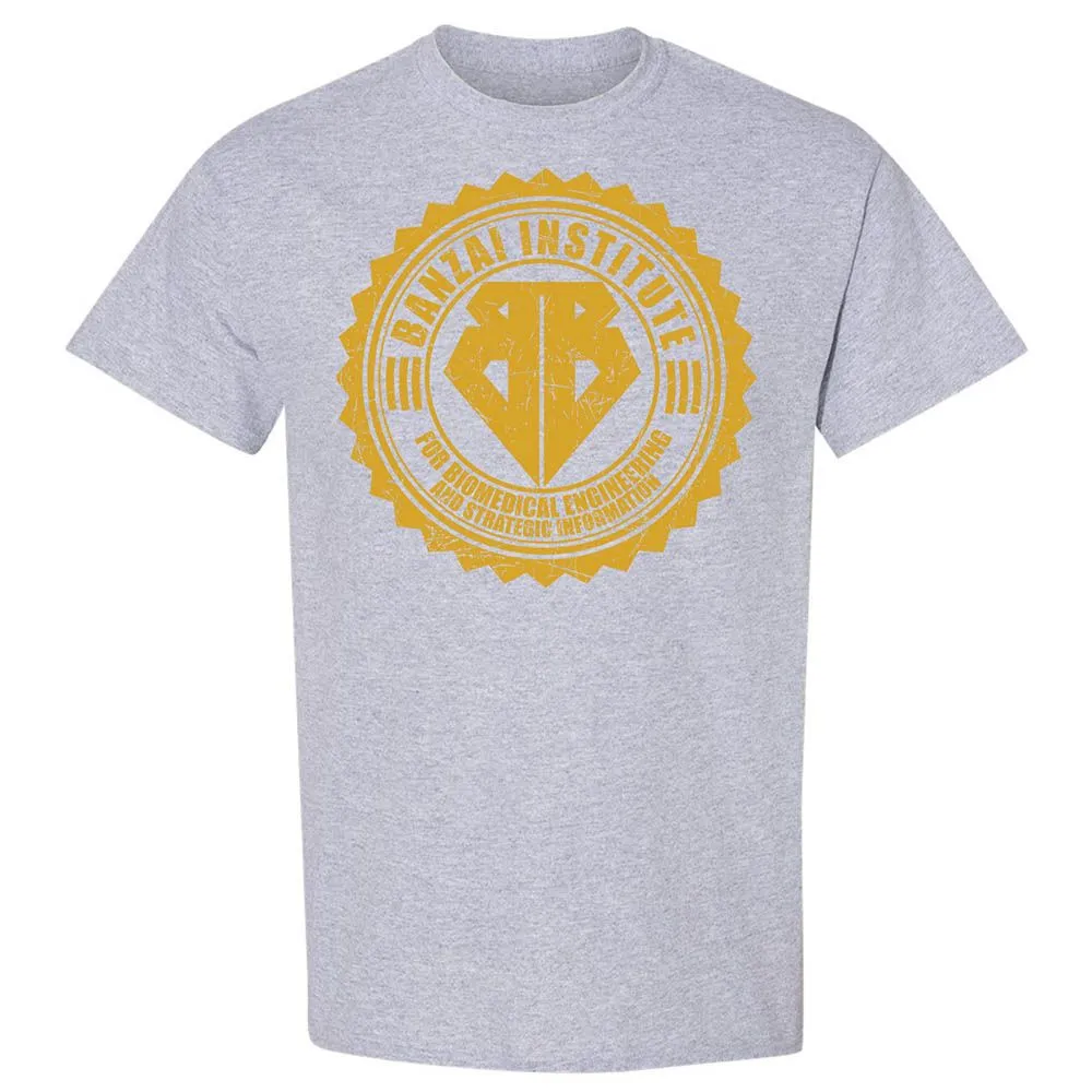 Banzai Institute - Sport Grey - 21